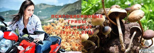 дмт Баксан