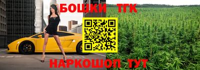шишки Нальчик
