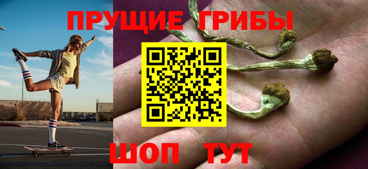 Галлюциногенные грибы GOLDEN TEACHER Радужный